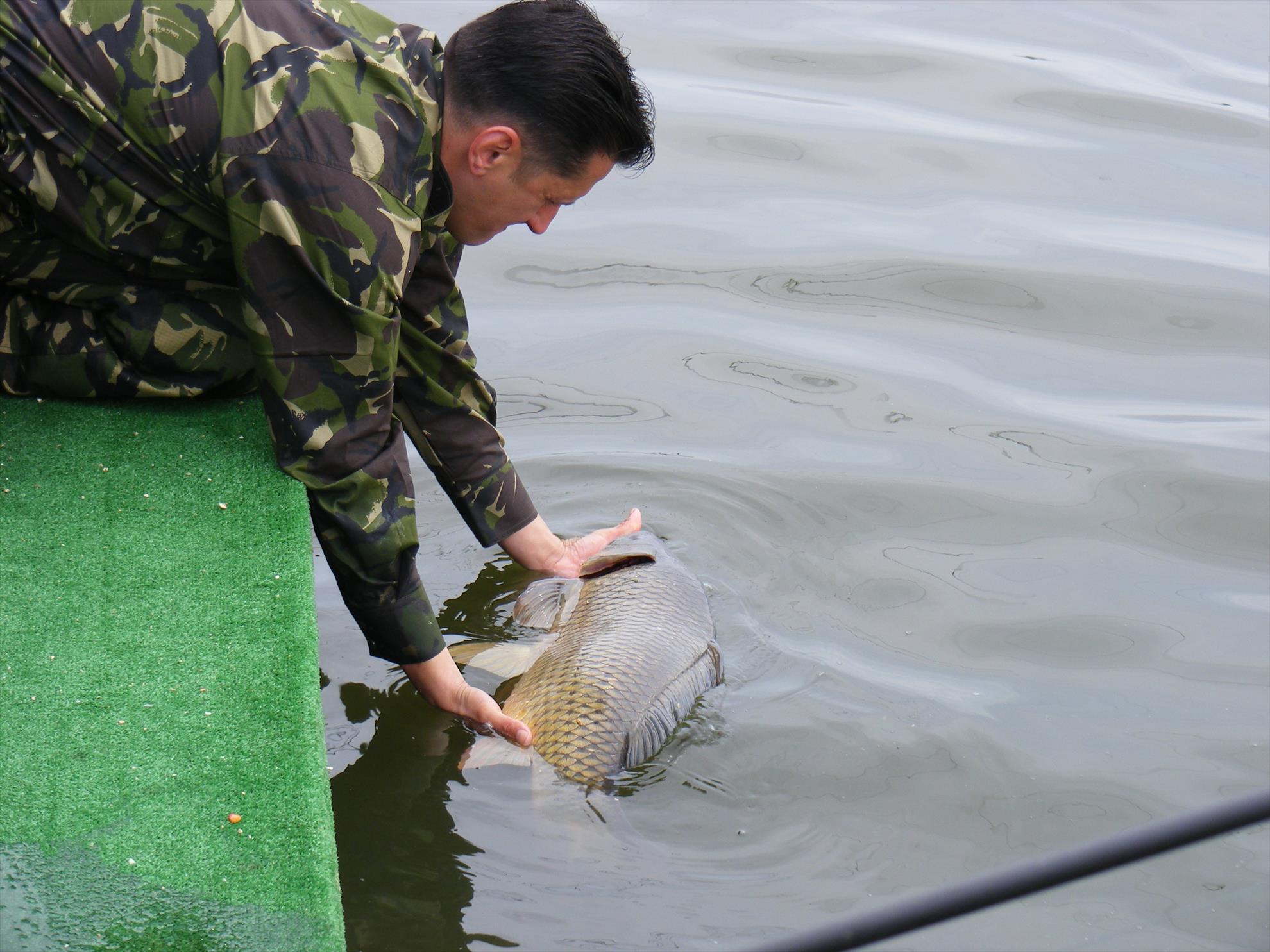 Balotesti iunie-2014 - dscf1092.JPG